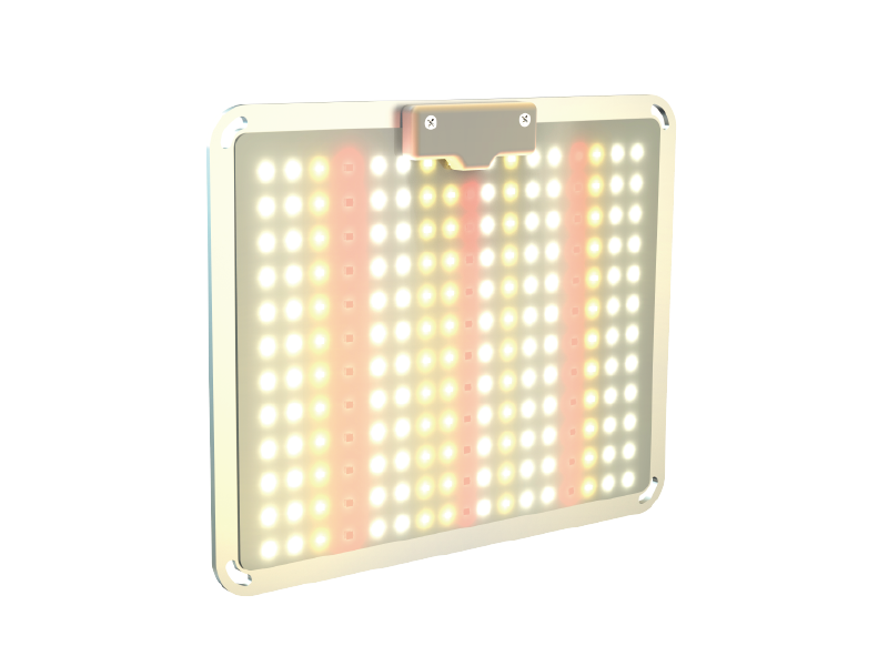 GROW-LIGHT.png